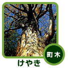 町木(けやき) 町木(けやき)