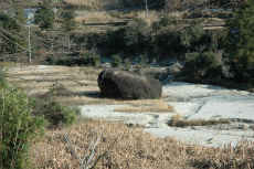 田の中の岩