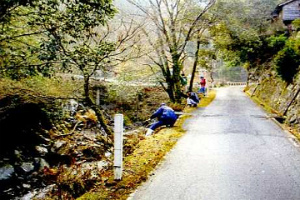 景観の保全　追川中集落協定