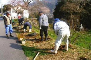 あじさいの植栽　松の木集落協定