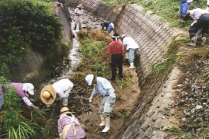 河川の清掃　大人集落協定